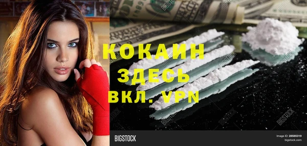 соль ск Алексин