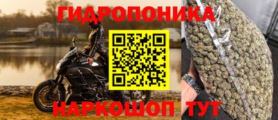 стаф Владикавказ
