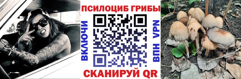 blacksprut Биробиджан Псилоцибиновые грибы GOLDEN TEACHER
