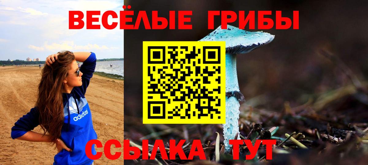 Псилоцибиновые грибы мицелий Биробиджан