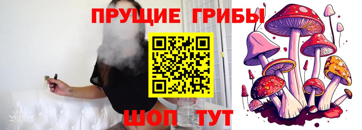 Биробиджан  Псилоцибиновые грибы ЛСД  Галлюциногенные грибы Psilocybine cubensis  Вход с VPN 