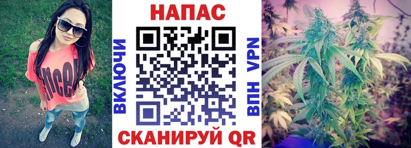 Бошки Шишки ГИДРОПОН  где купить наркоту  Биробиджан 